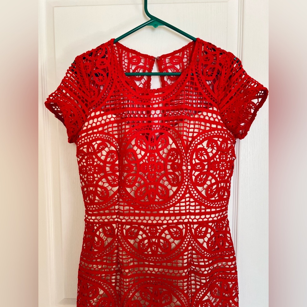 Red Lace Illusion Mini Sheath Dress Size 8 Date Night Wedding guest, Cocktail - Picture 2 of 11